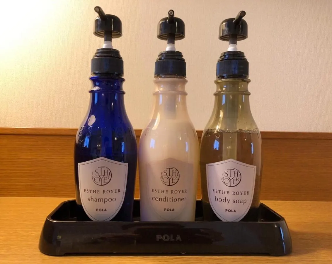 Hotel Centnovum Kyoto 3*,